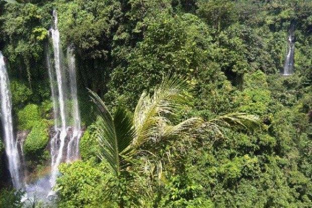 Air Terjun Terindah di Bali Utara dengan Lanskap Dramatis