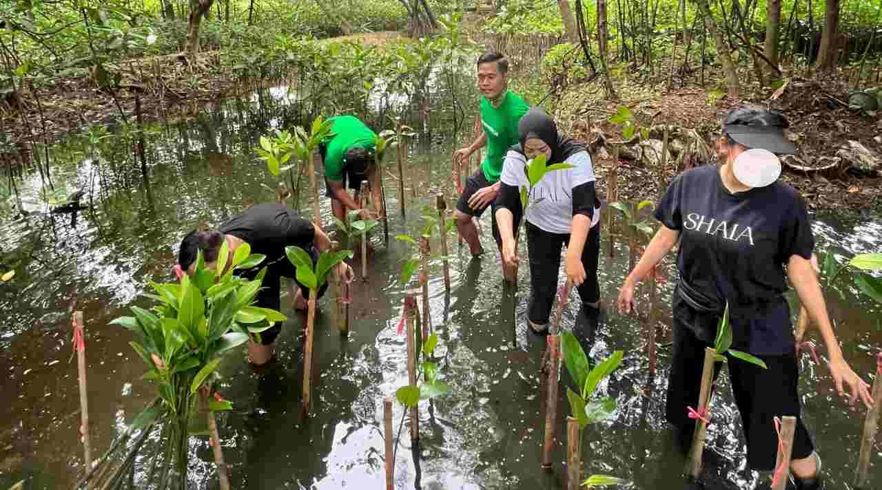 Mangrove Nusantara dan Gerakan Menjaga Pesisir Bersama