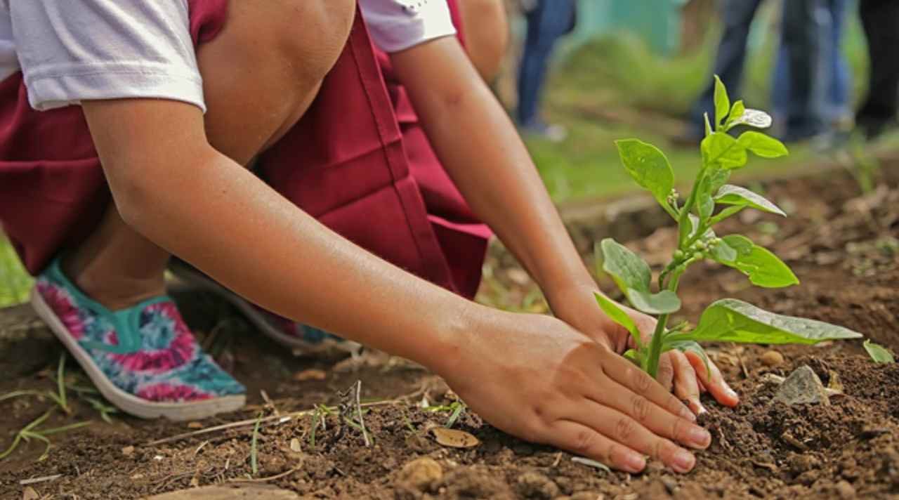 Sikap Peduli Lingkungan dalam Aktivitas Pecinta Alam