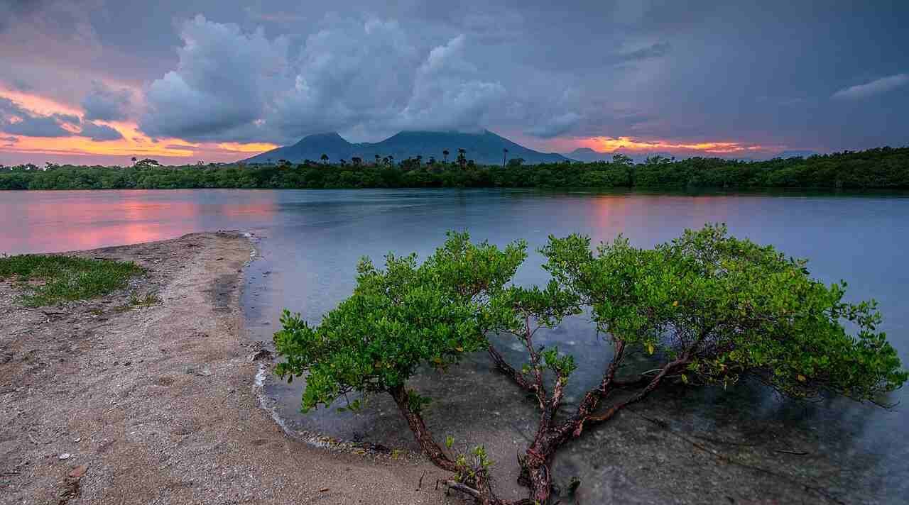 Taman Nasional Baluran, Savana Eksotis di Ujung Timur Pulau Jawa