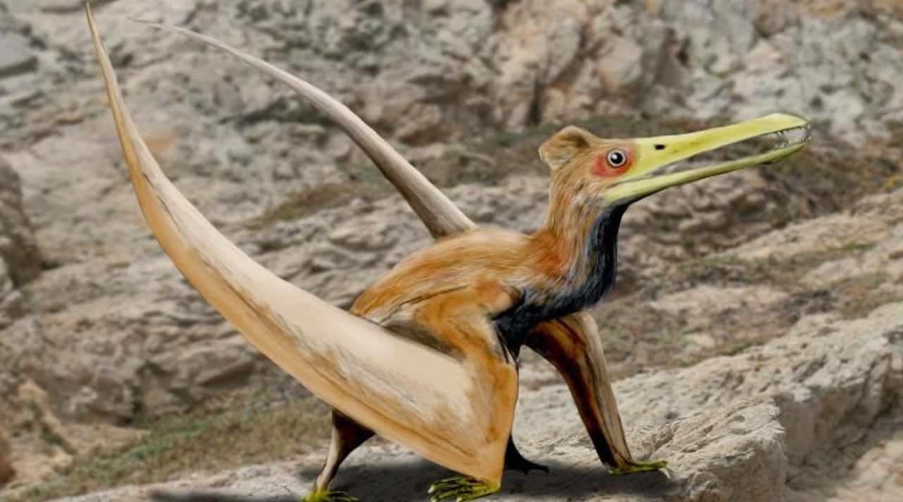 Pterosaurus Terungkap sebagai Reptil Terbang Aktif